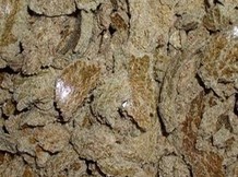 Шрот подсолнечный